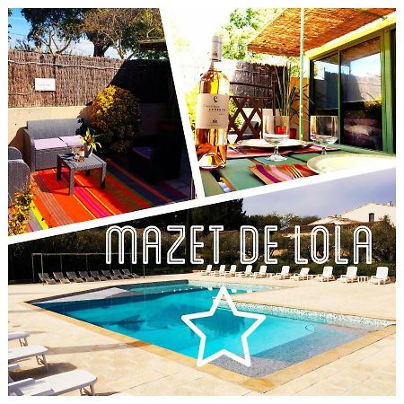 Le Mazet De Lola Villa Saint-Rémy-de-Provence Eksteriør billede