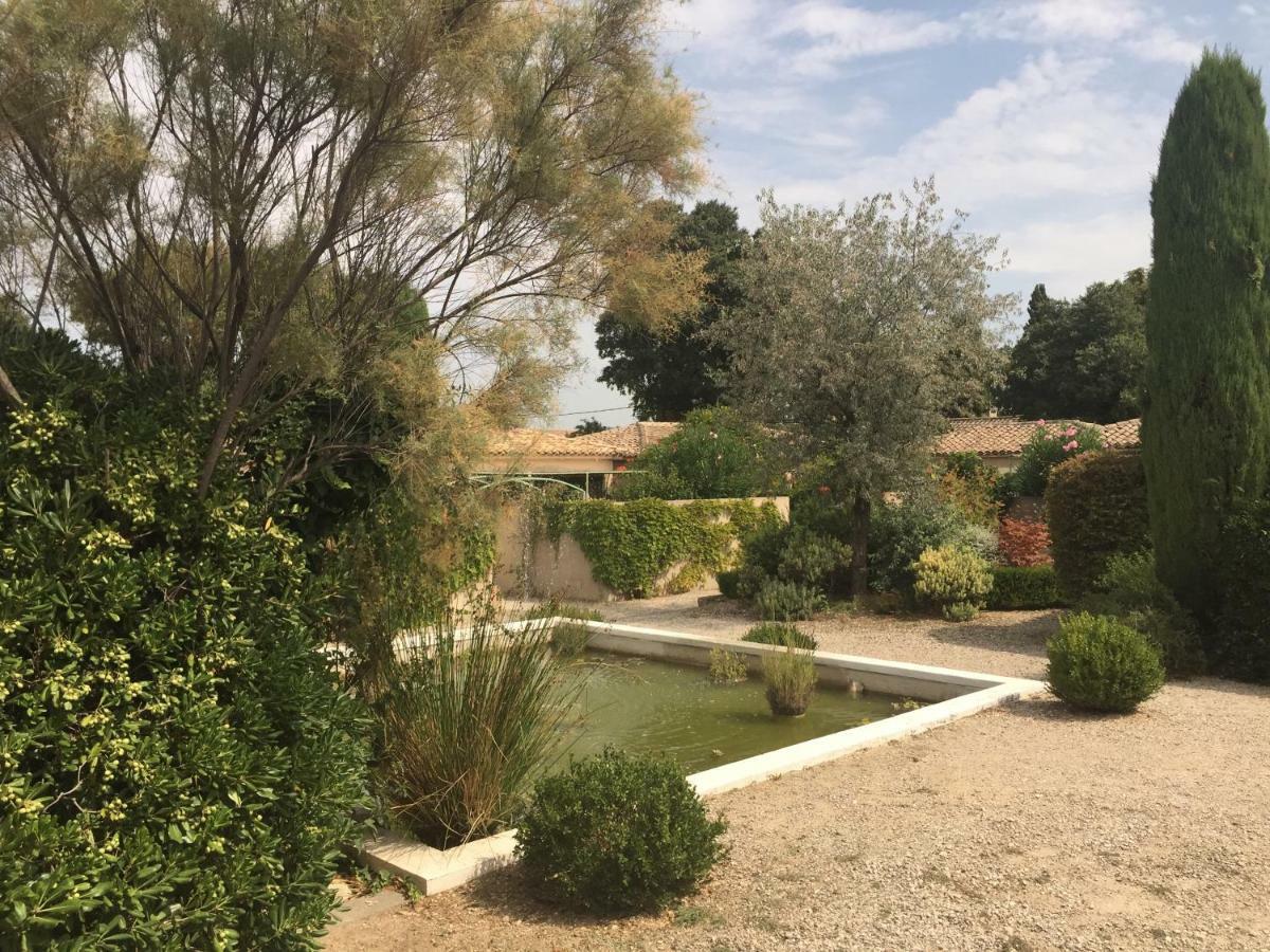 Le Mazet De Lola Villa Saint-Rémy-de-Provence Eksteriør billede