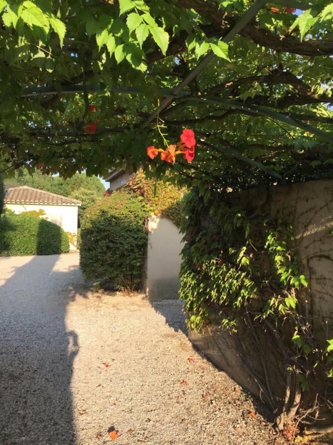 Le Mazet De Lola Villa Saint-Rémy-de-Provence Eksteriør billede